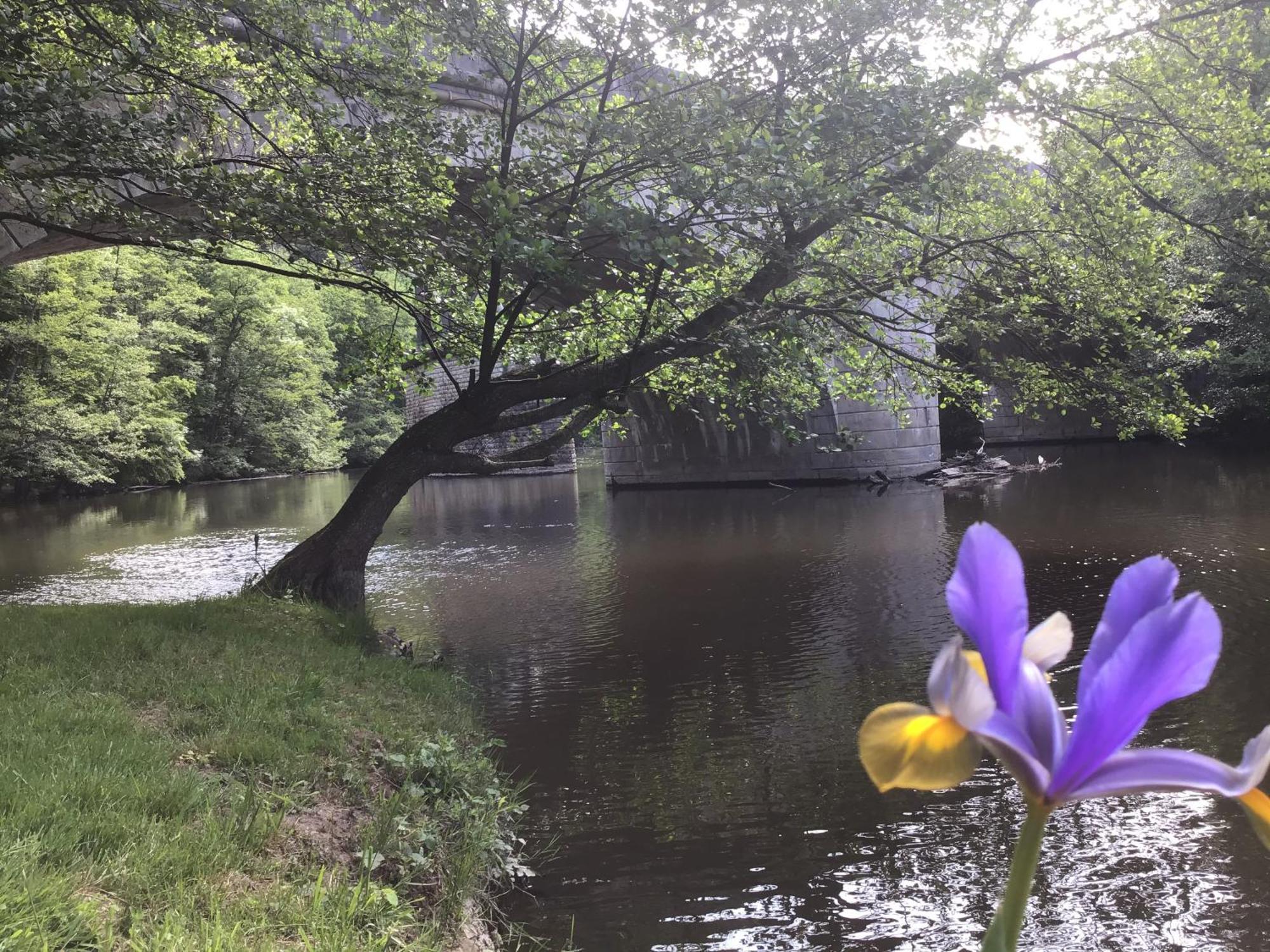 Chambre Sur Une Ile Saint-Bonnet-de-Rochefort Bagian luar foto