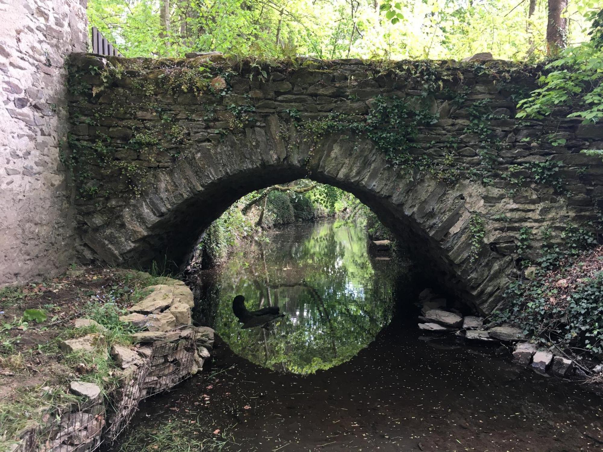 Chambre Sur Une Ile Saint-Bonnet-de-Rochefort Bagian luar foto