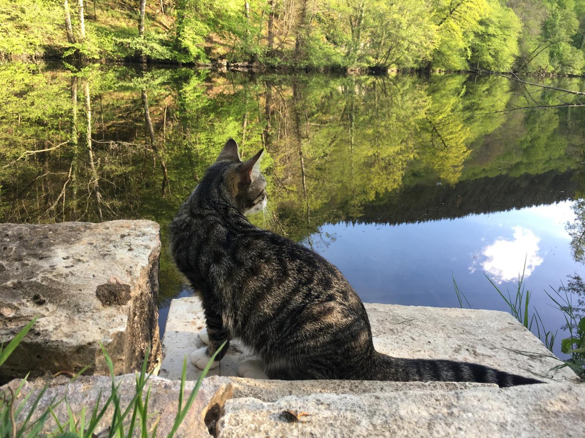 Chambre Sur Une Ile Saint-Bonnet-de-Rochefort Bagian luar foto
